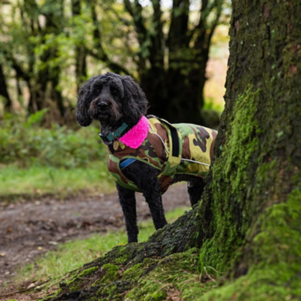 Casaco Para Cães 2026 « Dryrobe » V3DRDC - « Pink » / Camuflagem